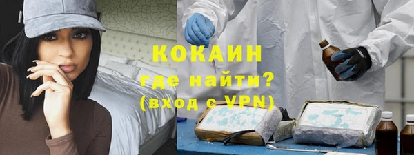 дживик Кемь