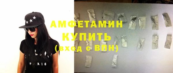 индика Кизел