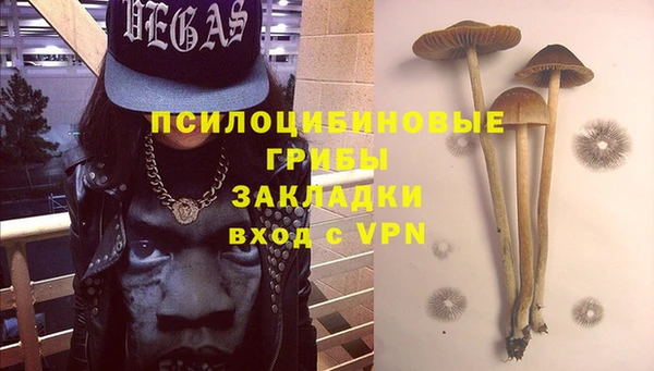 СК Кедровый