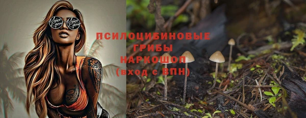 индика Кизел